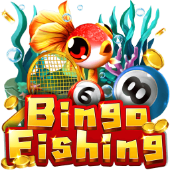 Câu Cá Bingo a8xx