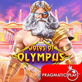 Cổng Olympus a8xx